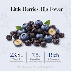 Nut n Berry Dried Blueberries | Naturally Antioxidant-Rich