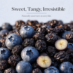 Nut n Berry Dried Blueberries | Naturally Antioxidant-Rich