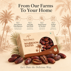 Nut n Berry Mabroom Dates 500g | Premium Saudi Arabia Khajoor | Firm, Chewy Khajur, No Added Sugar or Preservatives